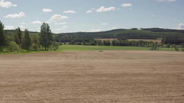 8 WEEK TIMELAPSE ZOOM OUT from a tilled field to green pea and oat crops