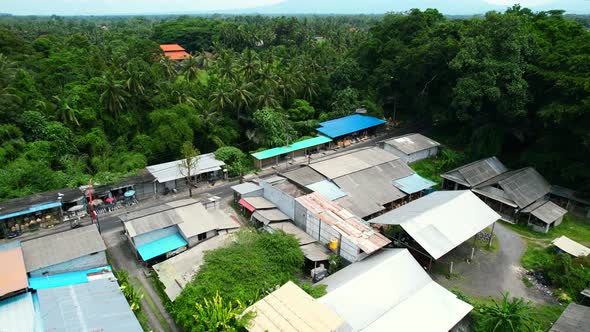 local road in ubud bali indonesia with businesses surrounded by jungle and trees, aerial