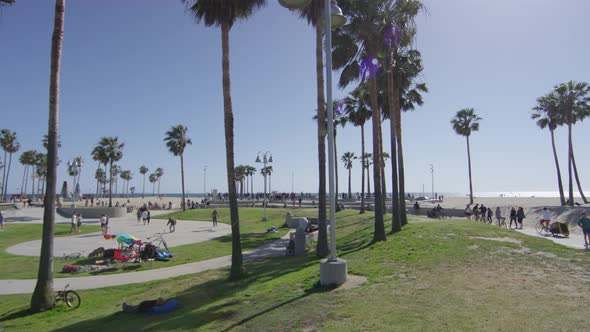 People in a park in Venice Beach