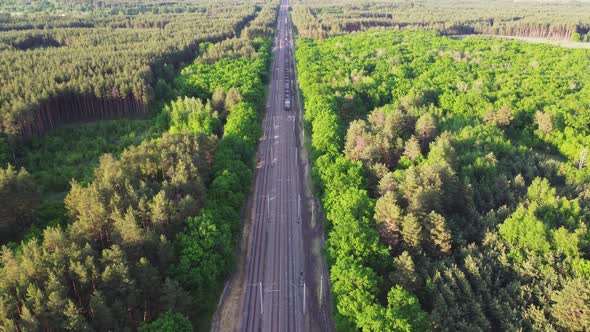 Aerial View of Railroad with Train in Sunny Summer Day in Forest