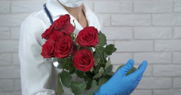 Nice Roses for Doctor