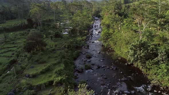 Aerial view of river flowing between rice paddy field, Indonesia.