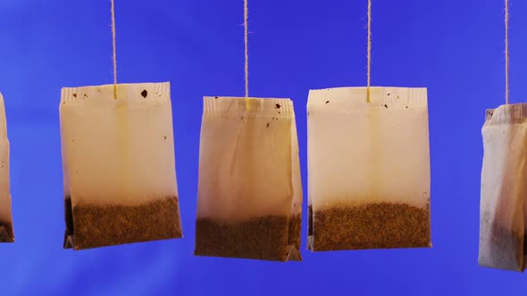 Collection of Used Tea Bags with Herbal Brew on Deep Blue