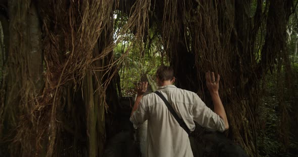 Dolly Shot of a Young Explorer Walking Through the Vines of an Exotic Tree in a Tropical Forest