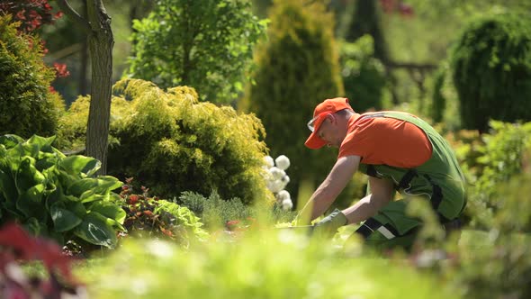 Summer Time Garden Work.