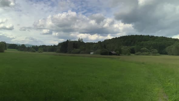 Picturesque pasture in the middle of the forest