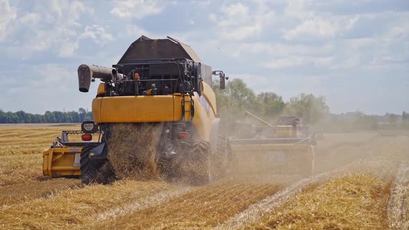 Season of gathering crops. Combine harvester agriculture machine harvesting golden ripe wheat field