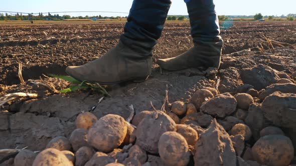 Farmer in Boots Walks Across the Field