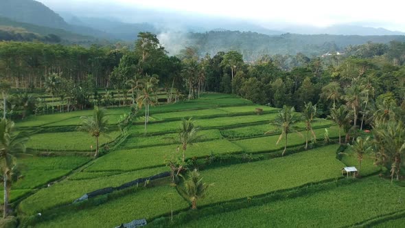 Rural Aerial View