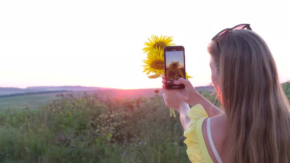 Girl Takes Pictures of Sunflower Flowers at Sunset Photo on Smartphone