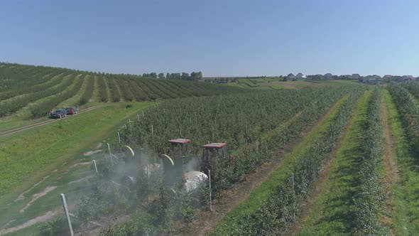 Aerial view of a plantation