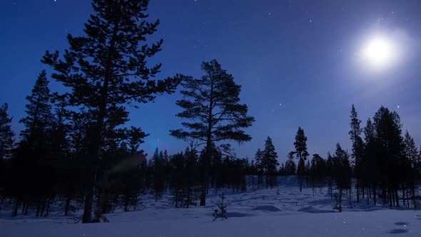 TIME LAPSE - The aurora borealis over a forest, night to day, Finland, zoom out