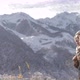 A Girl with a Hiking Backpack Walks Along the Road in the Winter Mountains of the Alps - VideoHive Item for Sale