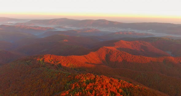 Landscape Forest Valley with Autumn on Sunrise Morning