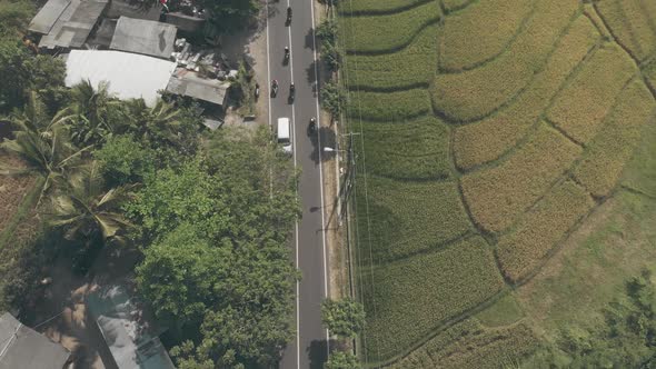 Top Aerial Drone View of the Green City