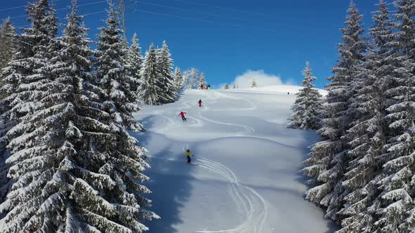 Aerial view of people skiing among the pine trees in Switzerland. alt