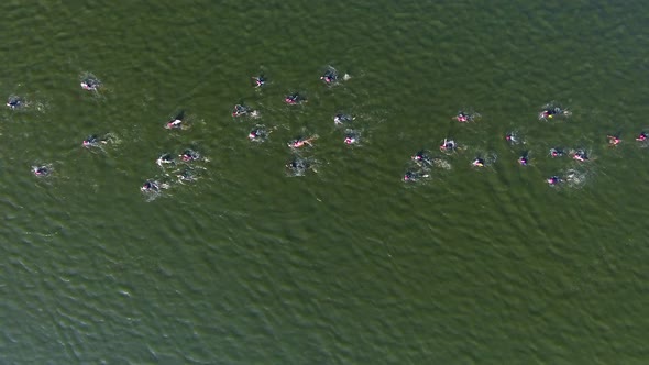 Water race with lots of swimmers crossing dark green river