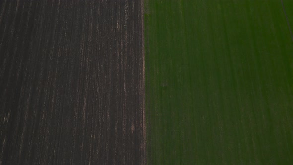 Aerial Drone Top View Flight Over Ground Land and Green Field Top Down View of Agriculgure Field