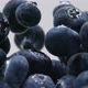 Blueberry - VideoHive Item for Sale