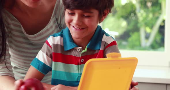 Mother Preparing Sons Lunch Box