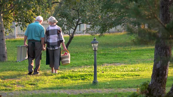 Senior Couple Holding Hands, Summer