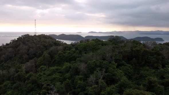 Aerial sliding over green forest in sunset time