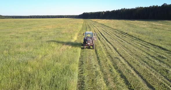 Haymaker Mows Grass Leaving Traces on Field Under Blue Sky