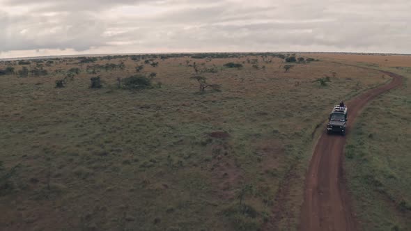Woman sitting on top of 4 wheel drive while on wildlife safari adventure in Kenya. Aerial drone view