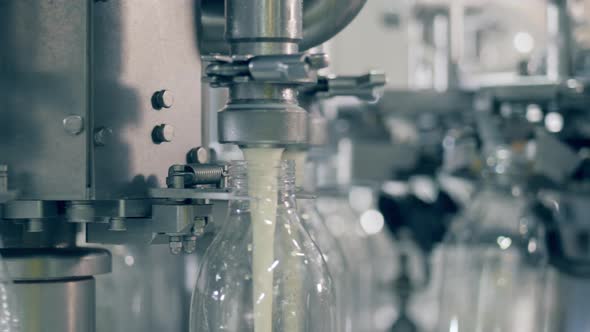 Factory Transporter Is Filling Bottles with Pasteurized Milk