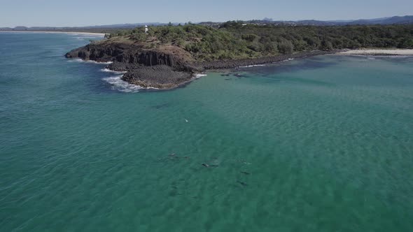 Bottlenose Dolphins Under Sea Surface. Fingal Head Beach And Giants Causeway In New South Wales, Aus