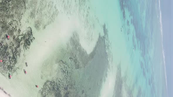 Zanzibar Tanzania  Vertical Video of the Ocean Near the Coast Slow Motion