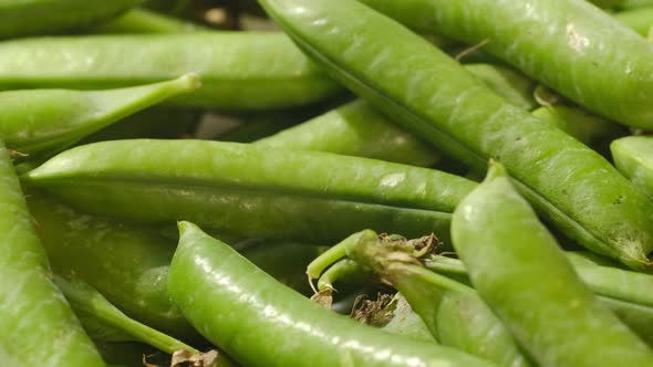 Closeup of Freshly Picked Green Pea Pods
