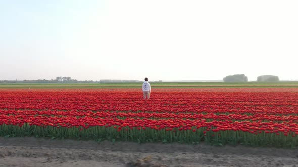Aerial view of a colourful field in Waasland, Belgium. alt