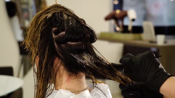 Hairstylist Applies Paint on Lady Hair with Brush in Salon