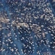 Aerial View of a Winter Forest From a Drone a Huge Forest in the Taiga or Siberia  Landscape Video - VideoHive Item for Sale