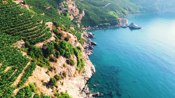 Mountain on the Seashore Turquoise Sea and Green Trees Aerial View Landscape Beautiful Coastline and