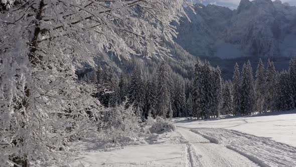 Winter landscape in the Italian Alps, Friuli Venezia Giulia