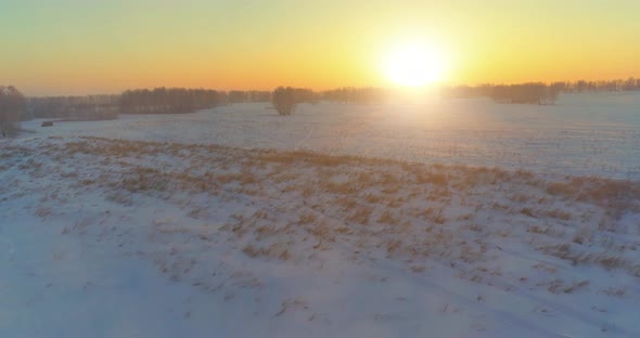 Aerial Drone View of Cold Winter Landscape with Arctic Field Trees Covered with Frost Snow and