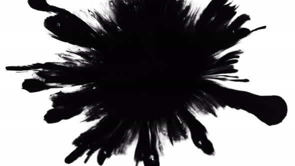 Super Slow Motion Shot of Black Ink Drop Isolated on White Background at 1000 Fps