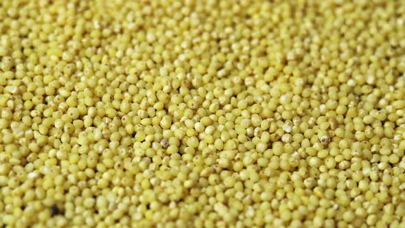 Wheatgrass Backdrop Millet Groats Closeup Rotates As a Background for a Restaurant Popularly Called