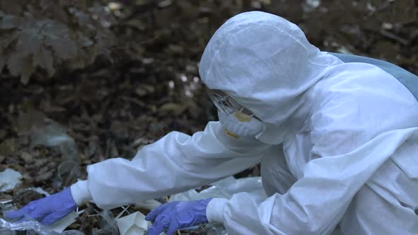 Scientist Inspecting Debris in Forest, Damage to Wildlife, Microplastic Spread