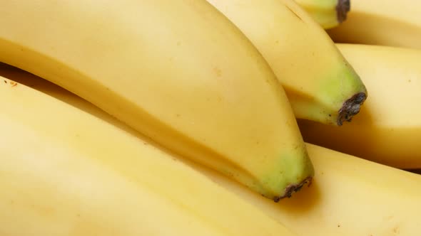 Fresh  banana fruit arranged in a row food background 4K 2160p 30fps UltraHD tilt footage - Musa acu