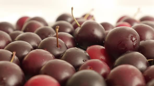 Prunus cerasifera red fruit close-up 4K 2160p 30fps UltraHD tilting  footage - Slow tilt over fresh 