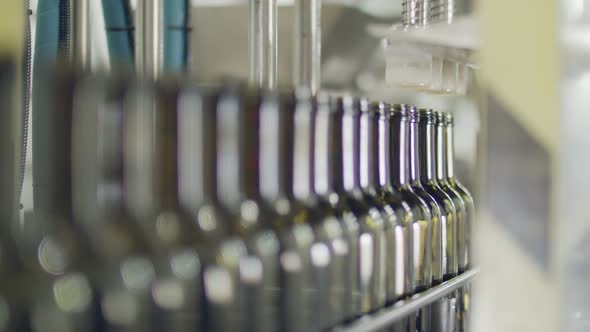 Filling of olive oil bottles in a bottling factory