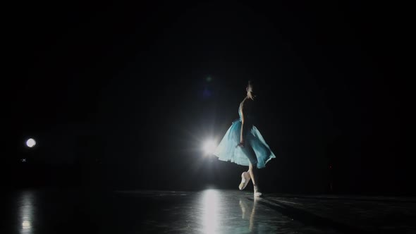 Graceful Dance in White Pointe Shoes