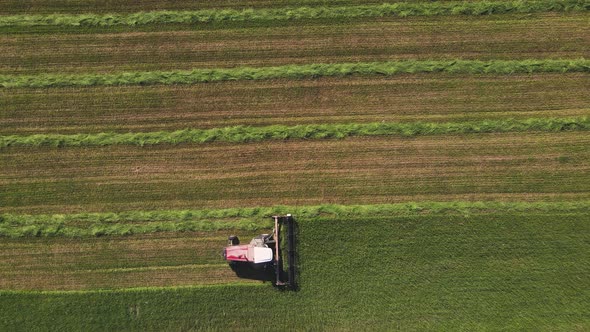 The Harvester Goes Fast and Mows the Grass a Beautiful Aerial View