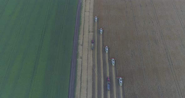 Aerial shot of combines harvesting