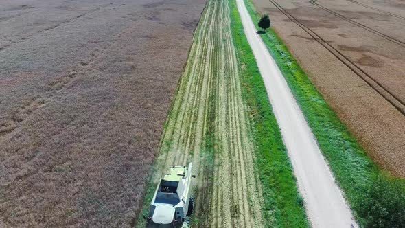 Harvester Threshing Rape With Ripe Rapeseed Beans on the Field. Flying Over Combine Harvester Thresh