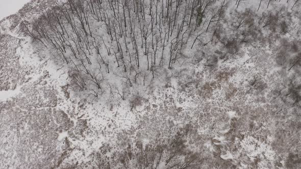 Aerial View Frozen Forest And Grass