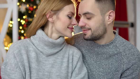 Loving Couple on the Background of the Christmas Tree